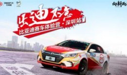 深圳比亚迪爆料新闻最新,深圳工厂重大突破，引领新能源汽车产业新篇章